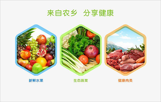 合肥VI設(shè)計(jì)公司_合肥LOGO設(shè)計(jì)_著名vi設(shè)計(jì)公司-農(nóng)產(chǎn)品VI設(shè)計(jì)2