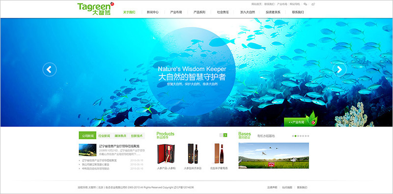 合肥綠色食品網頁設計_合肥集團網頁設計公司