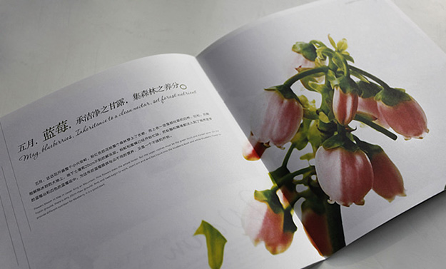 合肥招商畫冊設計-合肥形象畫冊設計