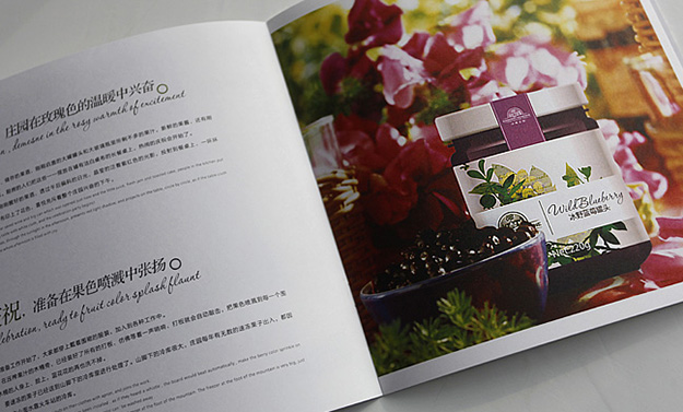 合肥招商畫冊設計-合肥形象畫冊設計
