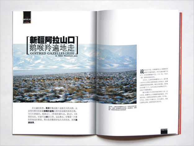 合肥雜志策劃制作公司-合肥雜志設(shè)計(jì)公司-著名畫(huà)冊(cè)設(shè)計(jì)公司