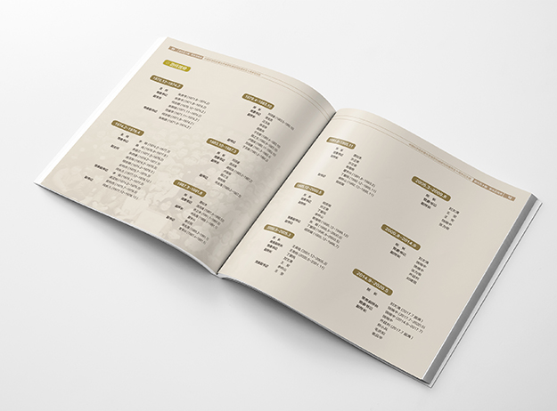 合肥設(shè)計公司_合肥畫冊設(shè)計公司_合肥科研畫冊設(shè)計_中科院畫冊設(shè)計06